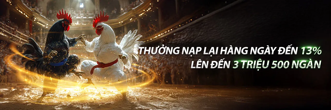 Các loại tỷ lệ kèo nhà cái phổ biến